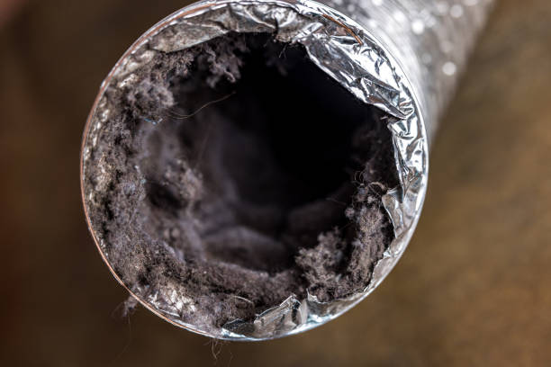 Best Home Air Vent Cleaning  in Kingsley, IA